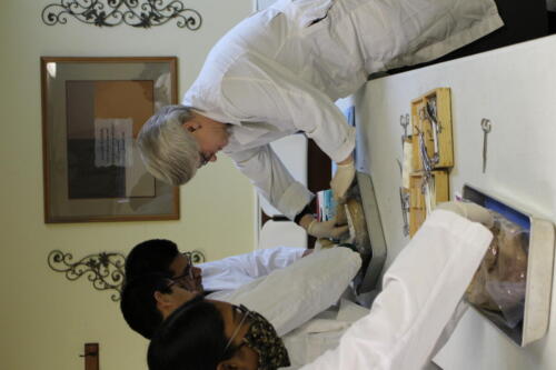 1. Class Time - Biology - Pig Dissection